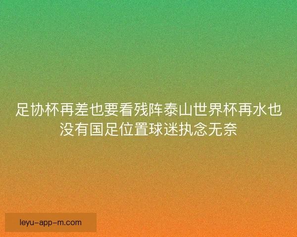 足协杯再差也要看残阵泰山世界杯再水也没有国足位置球迷执念无奈
